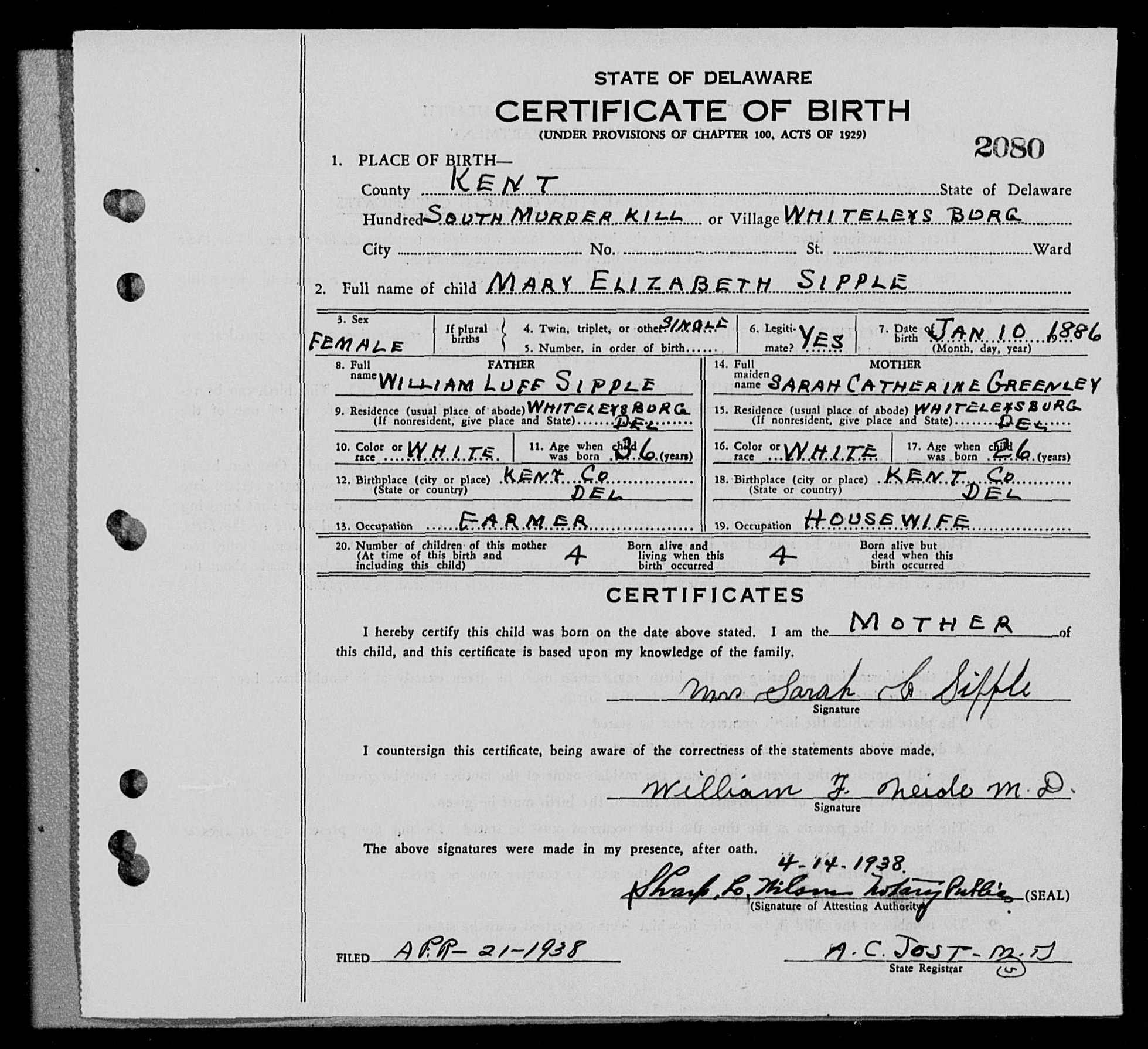 Sipple_Mary-Elizabeth(1886-1966)-birthcertificate